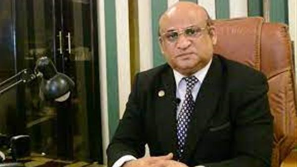  ماهر الجارحي، نائب