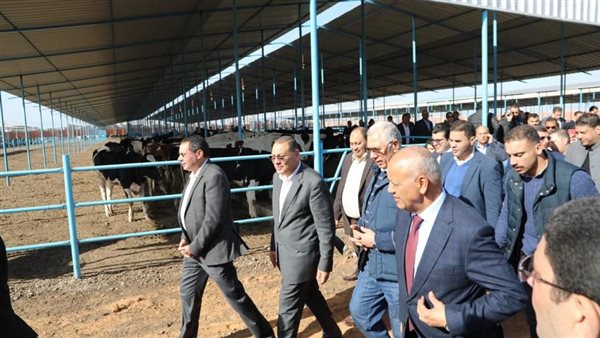 صورة من الحدث 