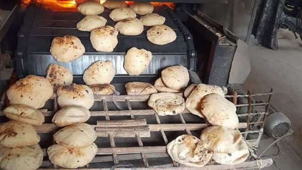 صور ارشيفية