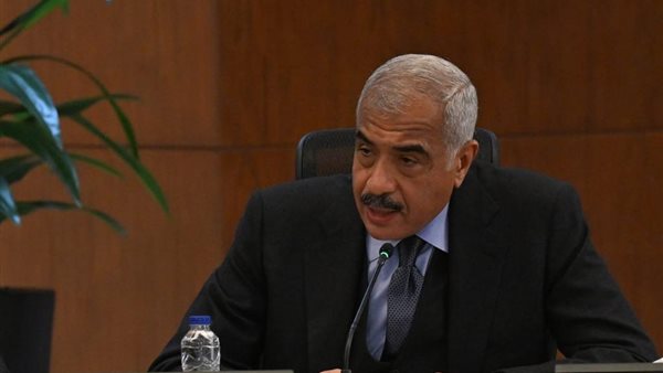 هشام طلعت مصطفي 