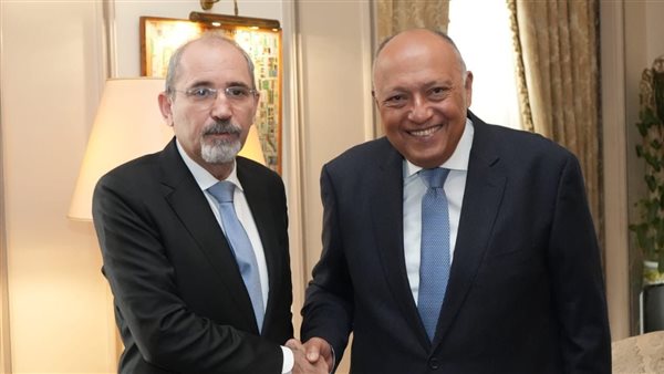 سامح شكري  وأيمن