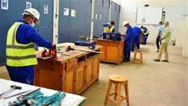 التعليم الفني 