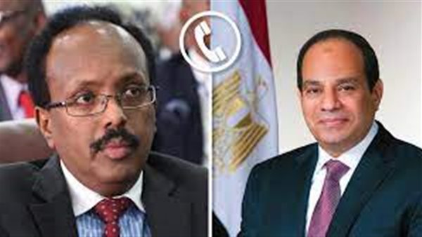 الرئيس السيسي ونظيره