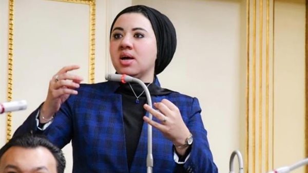  النائبة أميرة صابر