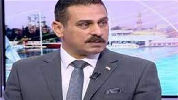 محمد البهواشي الخبير