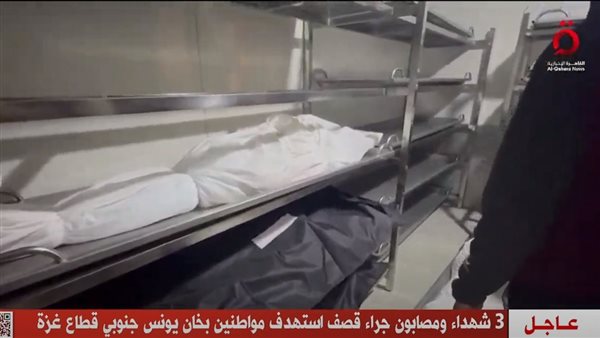 نقلا عن  قناة «القاهرة