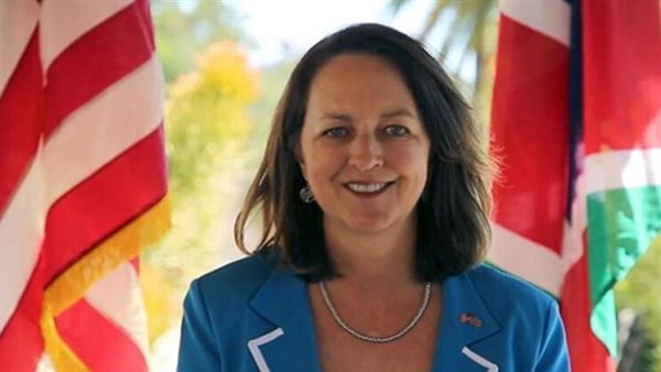  ليزا جونسون