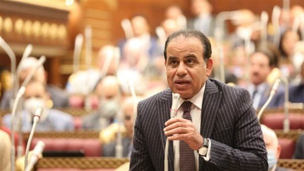 النائب عبد العزيز