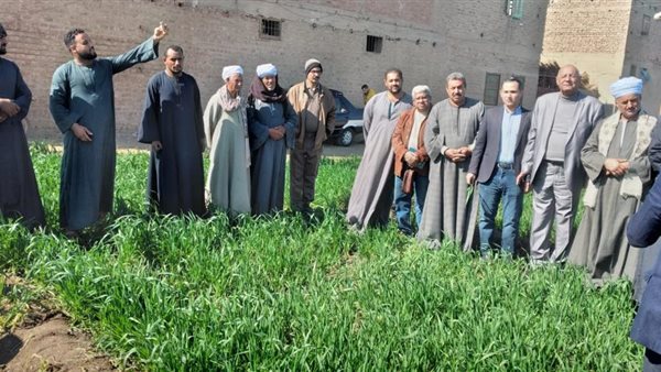 صورة من الحدث