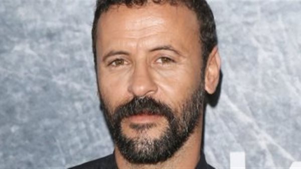 الفنان الفلسطينى