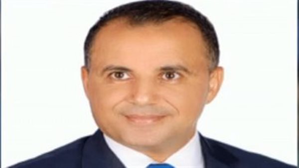  محمد أبو مطر، أستاذ