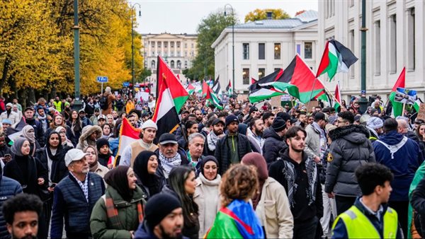 متظاهرون مؤيدون لفلسطين