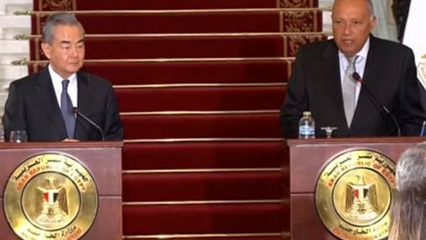 وزير خارجية مصر ونظيره