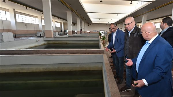 صورة من الحدث 