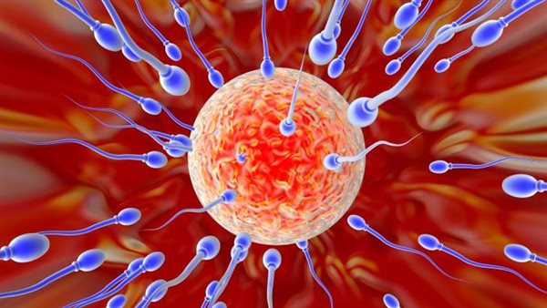 معدل خصوبة السكان