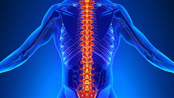 عمود فقري - أرشيفية