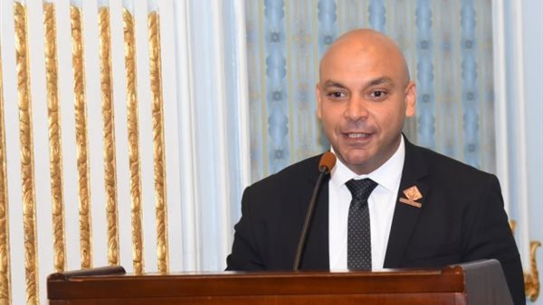 النائب محمود القط