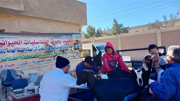 معهد بحوث التناسليات