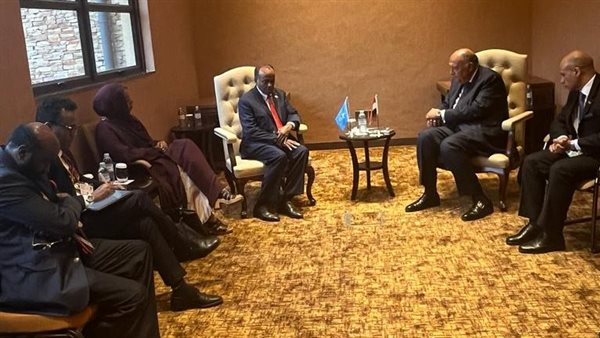 سامح شكري يلتقي القائم