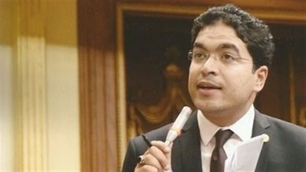 النائب ضياء الدين