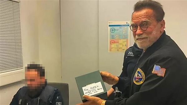 الفنان السياسي 