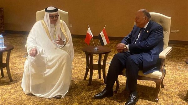 وزير الخارجية سامح