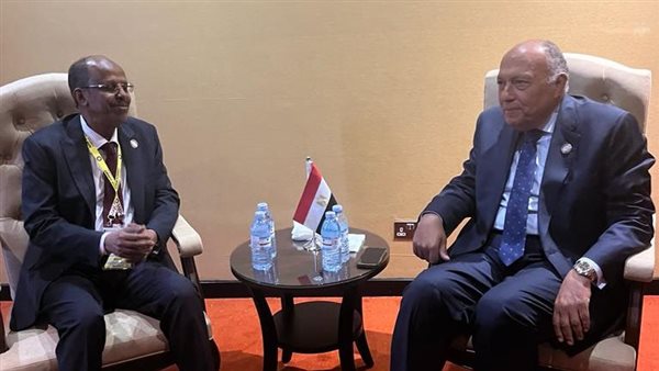 وزير الخارجية سامح