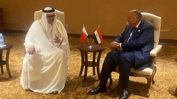  وزير الخارجية المصري