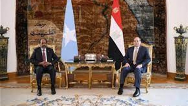 الرئيس الصومالي