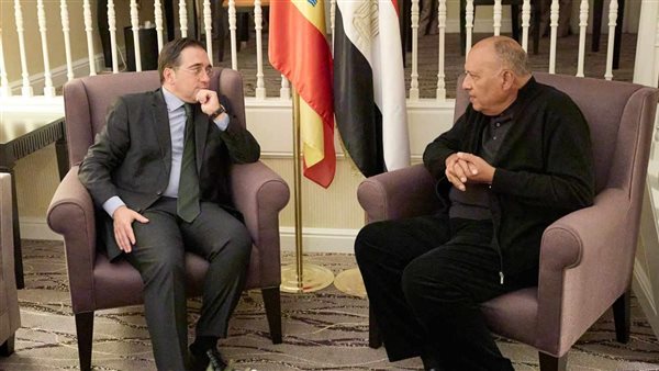 وزيرا خارجية مصر