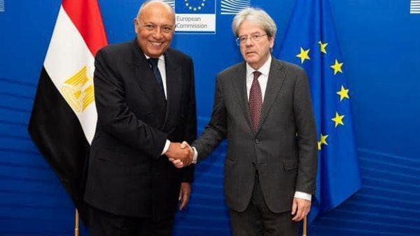 سامح شكري يلتقي مفوض