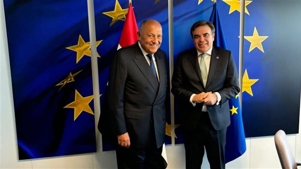 سامح شكري وزير الخارجية