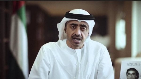 عبدالله بن زايد آل