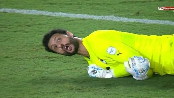 محمد الشناوي 