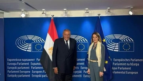  وزير الخارجية يلتقي