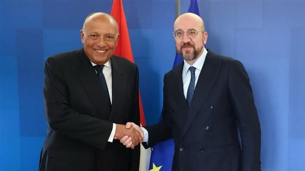  وزير الخارجية يلتقي