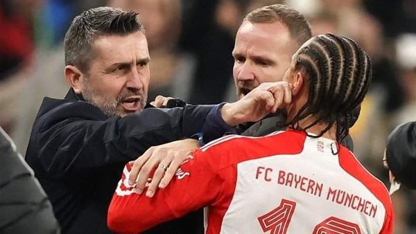 تعدي نيناد بيليكا