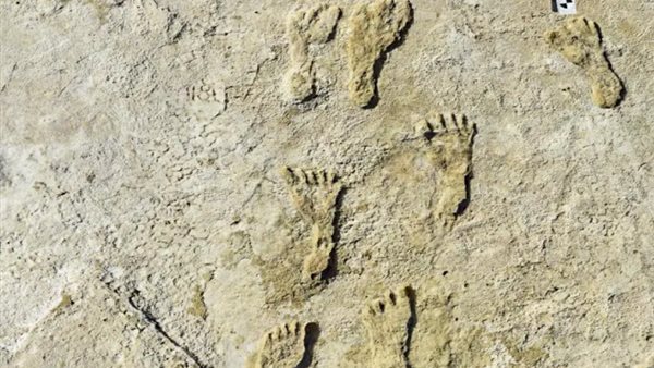 اكتشاف اثري بالمغرب