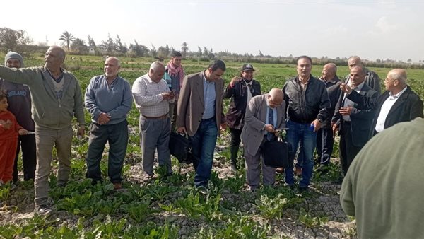  الفرق الإرشادية