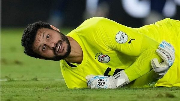 محمد الشناوي