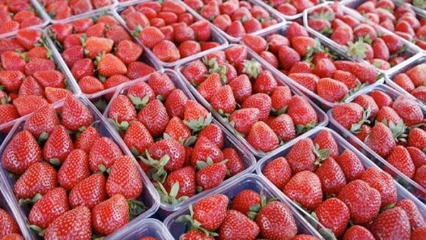 صورة من الحدث 