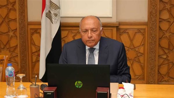 وزير الخارجية يجتمع