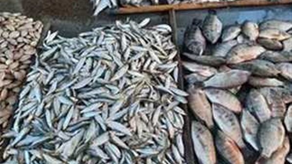 صورة من الارشيف 