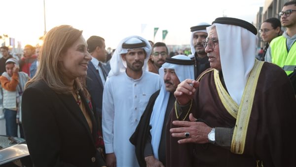 وزيرة الثقافة 