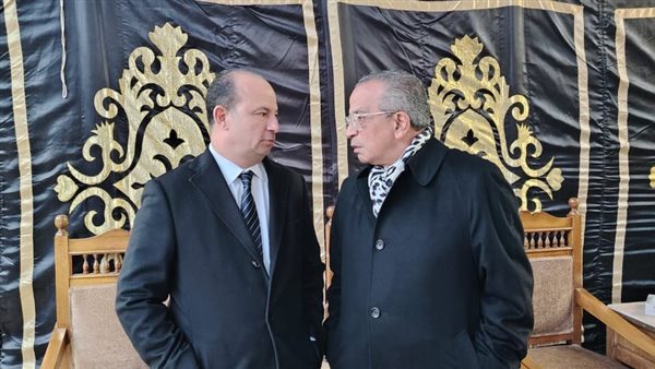 عمرو الجنايني 