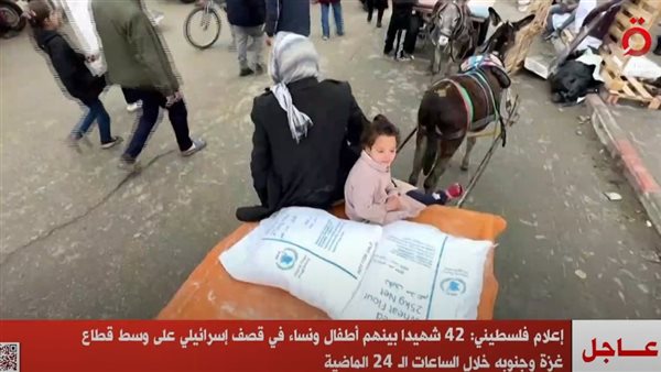 نقلا عن  قناة «القاهرة