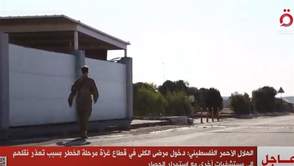 نقلا عن  قناة «القاهرة