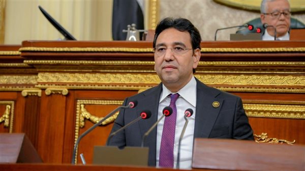 النائب أيمن محسن