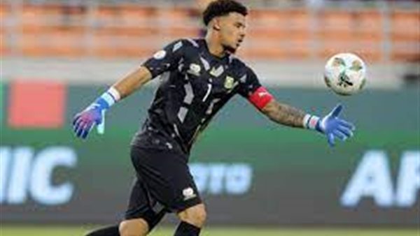 وليامز حارس جنوب