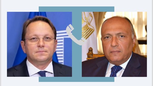 وزير الخارجية يتلقي